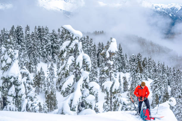 istock Backcountry skier prepares for descent in snowy forest 1329123654