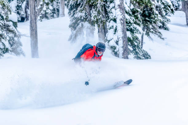 istock Backcountry skier descends through snowy forest 1329123724