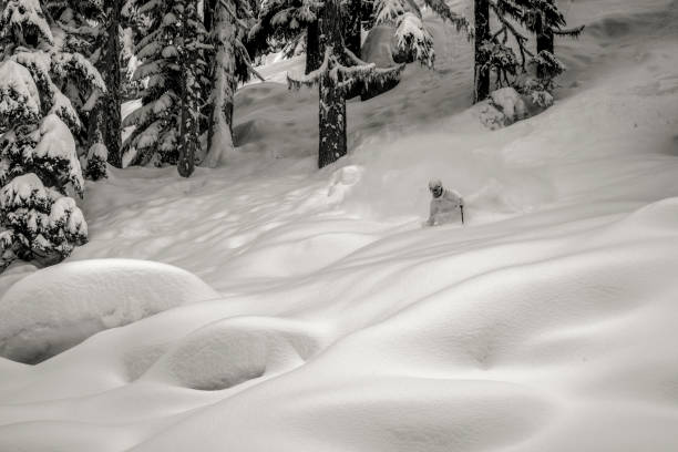 istock Backcountry skier descends through snowy forest 1329123733