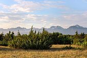 Italian Tuscany rural landscape with  Apennine Mountains