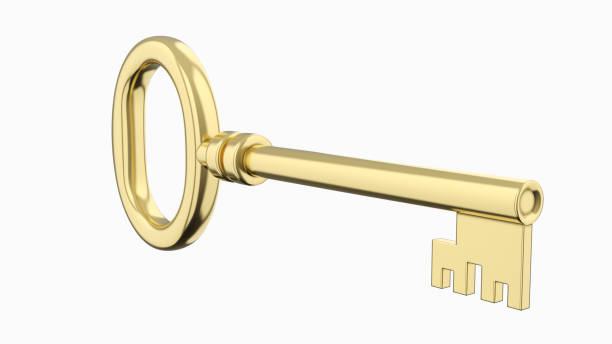 istock Vintage Metal Key 1329130301