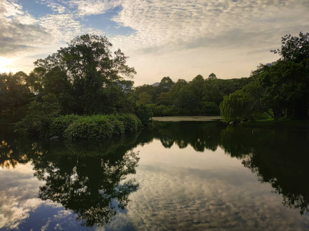 istock cloudy afternoon sky by the park 1329140209