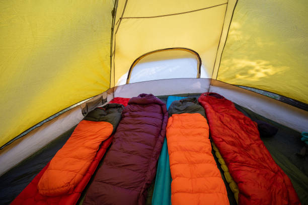 istock Tent with a families sleeping bags 1329146703