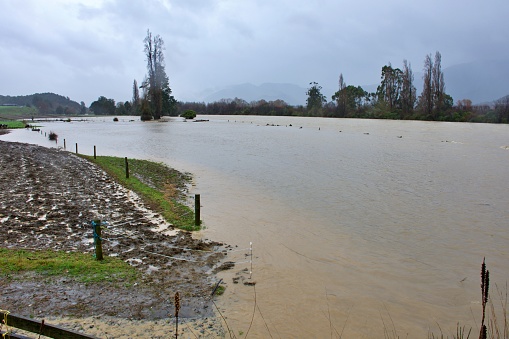 Tasman District, New Zealand - July17 2021. The Takaka River after heavy flooding. Taken in Takaka, the Tasman District in New Zealand's South Island.
