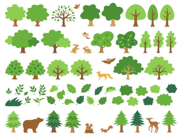 Illustration set of green trees and forest animals Icon set of various green trees and forest animals tree clipart stock illustrations