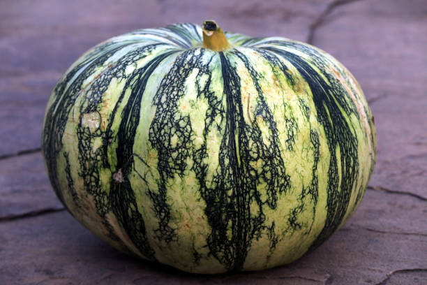 istock fresh vegetable green and white pumpkin 1329152037