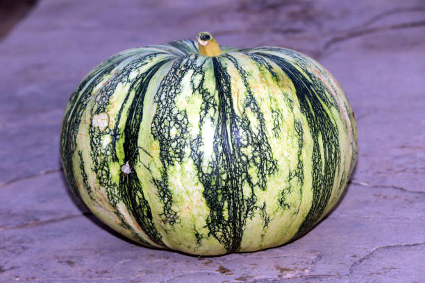 istock fresh vegetable green and white pumpkin 1329152040