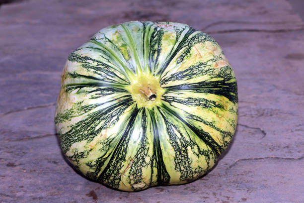 istock fresh vegetable green and white pumpkin 1329152041