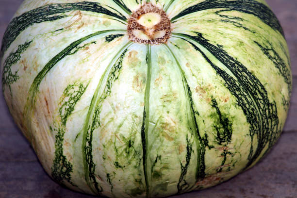 istock fresh vegetable green and white pumpkin 1329152564