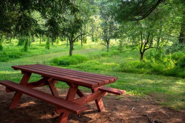 istock Red picnic table by rows of orchard fruit trees 1329154629