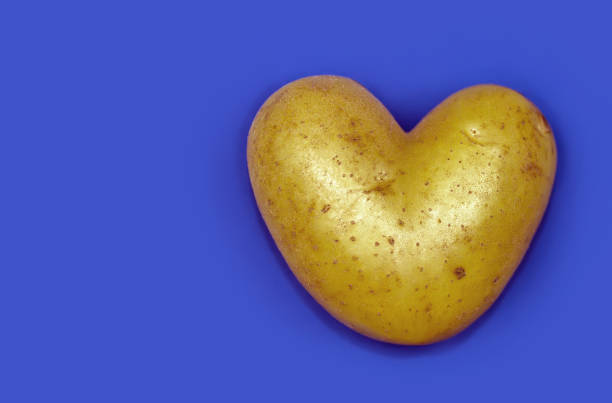 青い背景にハートの形をしたジャガイモの塊。 - heart shape raw potato food individuality ストックフォトと画像