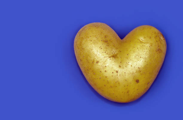 bulwa z ziemniaków w kształcie serca na niebieskim tle. - heart shape raw potato food individuality zdjęcia i obrazy z banku zdjęć