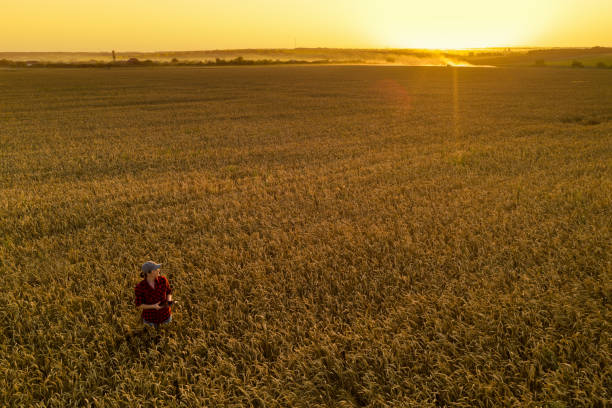 istock Woman farmer with a digital tablet 1329157856