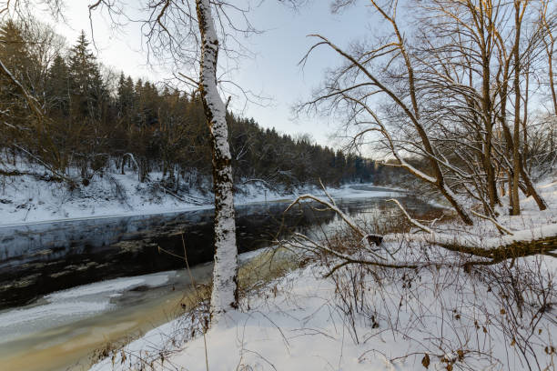 istock river in winter snowy forest. sunny day. beautiful nature 1329157961
