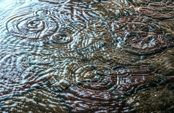 istock Raindrops and puddles on a city street 1329159907