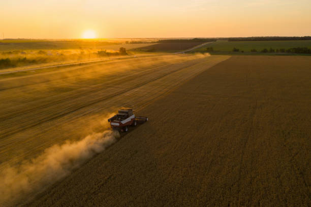 istock Combine harvester on the field at sunset 1329163682