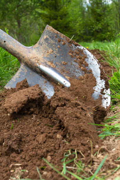 istock the shovel and the soil it dug up 1329164975