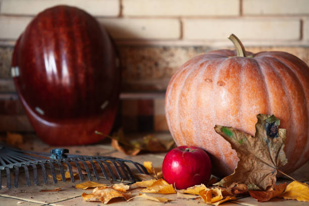 istock Round pumpkin and apple lie on shelf 1329166987