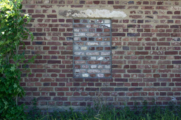 istock an old building in the forest with bricked up windows 1329170236