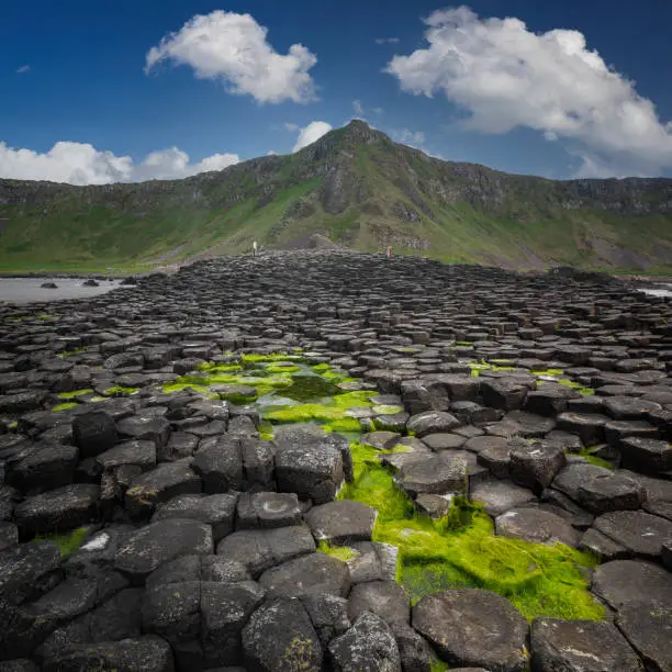 Photo of Giants Causeway Summer Panorama Northern Ireland UK