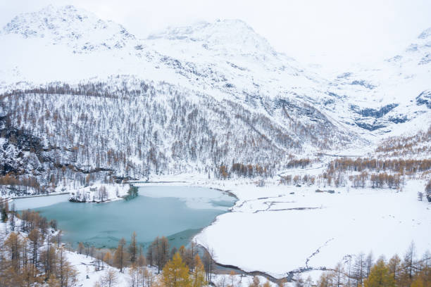 istock Lake in the snow 1329174340