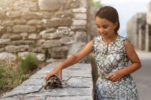 Little girl with a turtle on her hands.