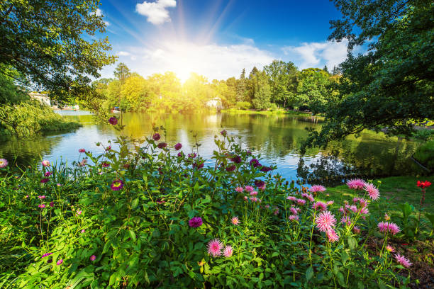 istock Lazienki Park in Warsaw 1329177971