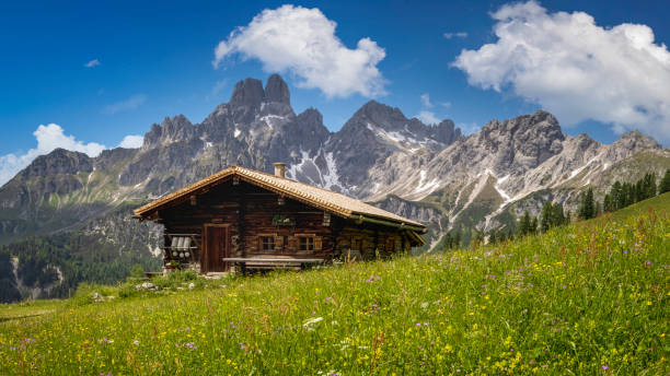 paesaggio montano idilliaco nelle alpi: chalet di montagna, prati e cielo blu - mountain chalet foto e immagini stock