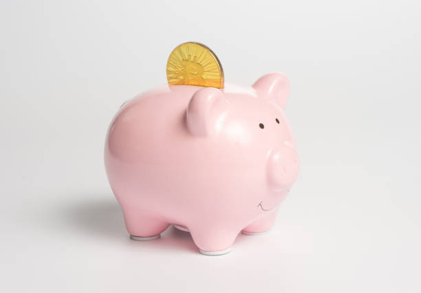 Piggy bank with a bitcoin coin