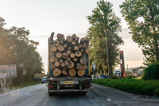Ivano-Frankivsk, Ukraine July 28, 2020: illegal removal and transportation of stolen forest, environmental problem.2020