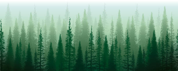 bildbanksillustrationer, clip art samt tecknat material och ikoner med green mist green misterious trees. horizontal seamless design. - skog