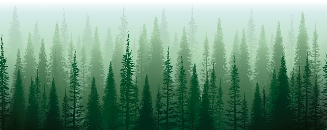 Vector Illustration of a Beautiful and Misyterious Green Forest Enveloped in a green fog. Horizontal Seamless Design.