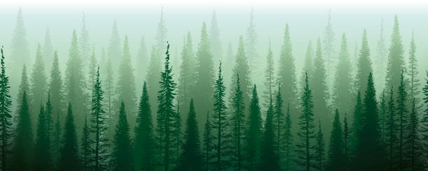 Green Mist Green Misterious Trees. Horizontal Seamless Design. Vector Illustration of a Beautiful and Misyterious Green Forest Enveloped in a green fog. Horizontal Seamless Design. background of woodland stock illustrations