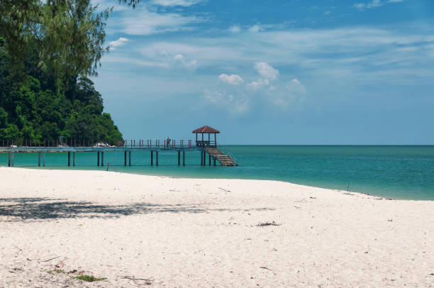 istock kerachut beach penang national park malaysia 1329185752