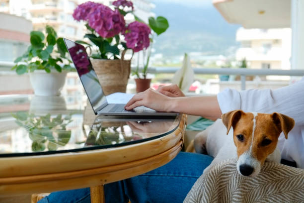 istock Woman on the balcony with laptop 1329185897
