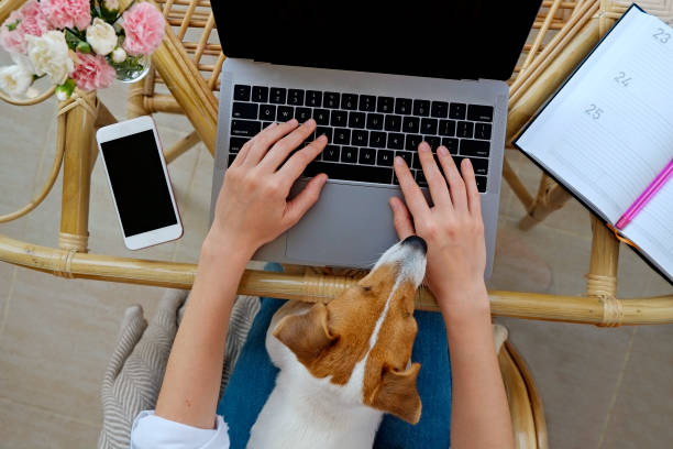 istock Woman on the balcony with laptop 1329185912