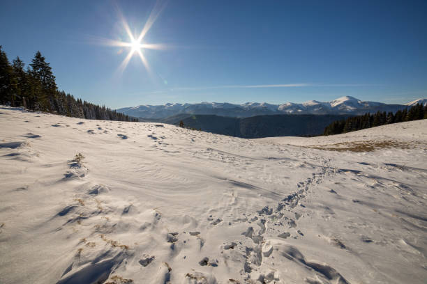 istock Winter landscape panorama with snowy landscape hills, distant white mountains, dark forest and clear blue sky with bright sun. 1329187968