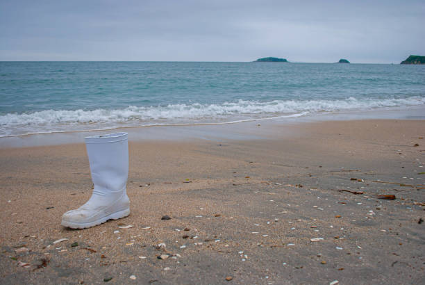 Rest at the sea. Seashore after a storm.