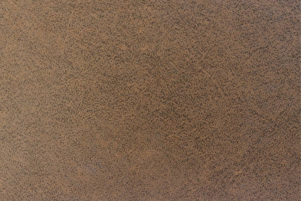 istock The background is brown. Perfarated skin. Book cover 1329195217