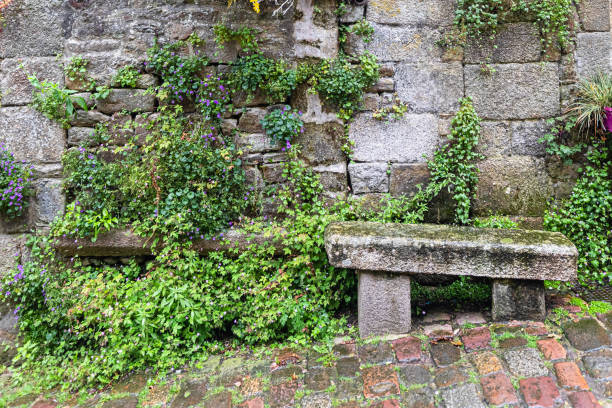 istock stone bench in a cobbled street 1329203306
