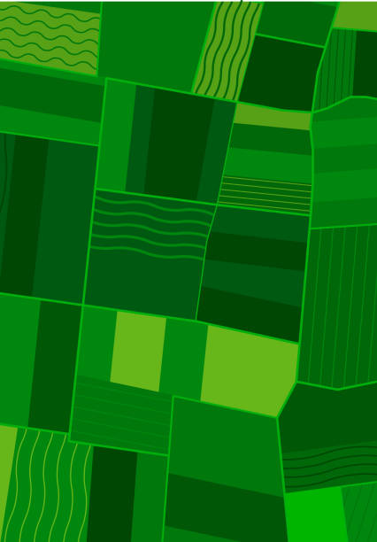 Green fields, meadows from birds eye view. Aerial view of green fields in farmland. Green fields, meadows from birds eye view. Aerial view of green fields in farmland. Abstract geometric patches of earth in different shades of green color. Concept of agriculture. Vector background farm stock illustrations