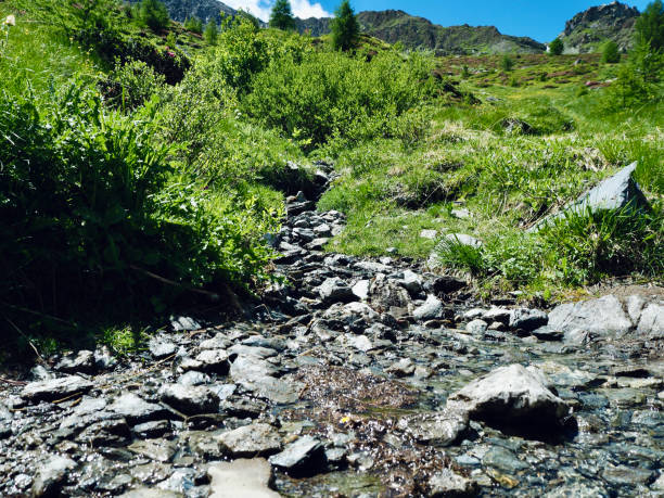 istock Alpine mountain landscape in summer 1329207488