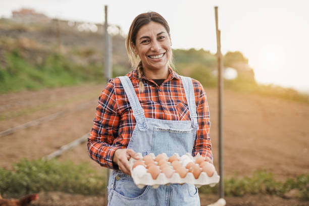 donna latina matura che tiene uova fresche - anziana contadina sorridente a macchina fotografica - agricoltrice foto e immagini stock