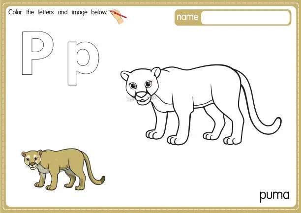 Vector illustration of Vector illustration of kids alphabet coloring book page with outlined clip art to color. Letter P for  Puma.