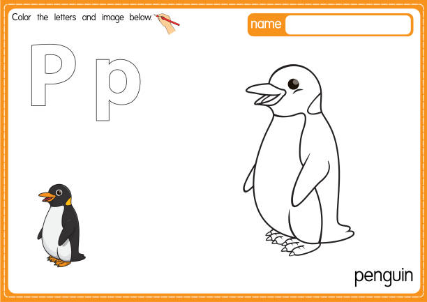Vector illustration of kids alphabet coloring book page with outlined clip art to color. Letter P for Penguin. Vector illustration of educational alphabet coloring page with cartoon for kids. Uppercase and lowercase letter for coloring, tracing, writing, do-a-dot, sticker, cut and paste, kids learning page. frozen coloring pages stock illustrations