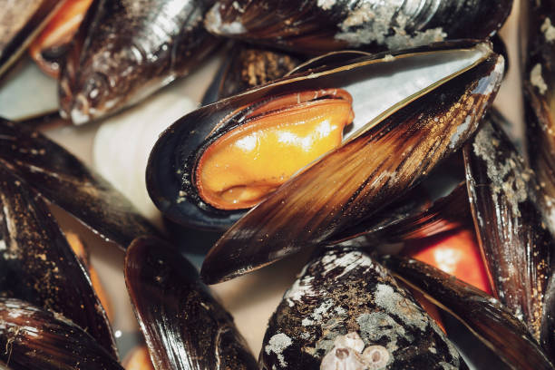 istock group of steamed mussels top view 1329212889