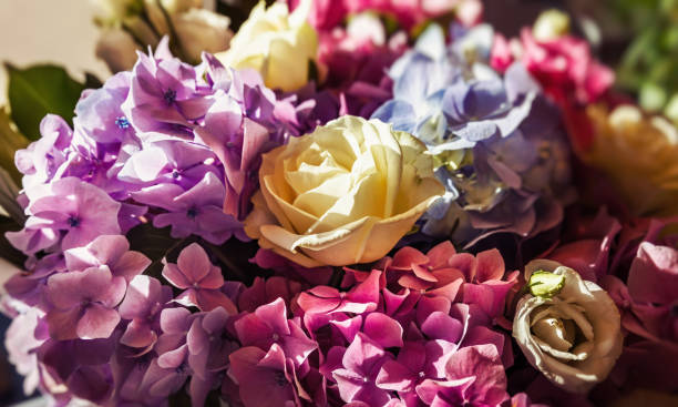 istock bouquet of roses and hydrangeas 1329213530