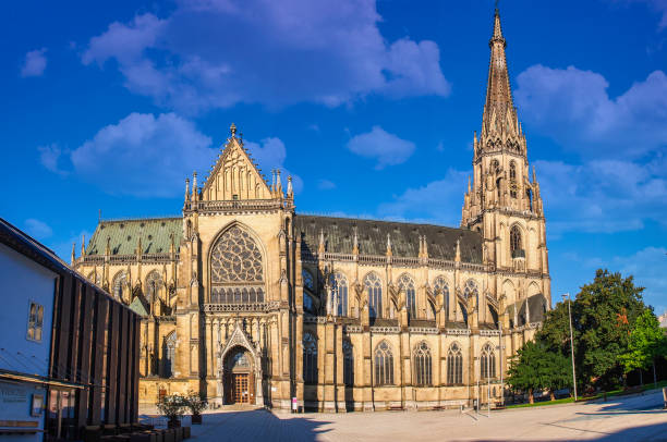 New Cathedral or Cathedral of the Immaculate Conception or St. Mary Church in Linz, Austria New Cathedral or Cathedral of the Immaculate Conception or St. Mary Church is a Roman Catholic cathedral located in Linz, Austria linz austria stock pictures, royalty-free photos & images