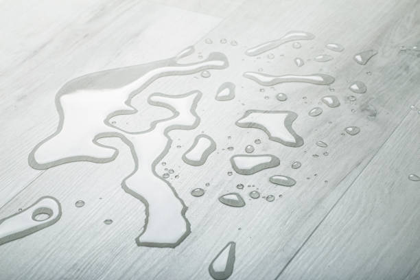Water and moisture on the wooden parquet floor in the living room. Moisture protection for wooden floors and laminates Water and moisture on the wooden parquet floor in the living room. Moisture protection for wooden floors and laminates. wet wood texture stock pictures, royalty-free photos & images
