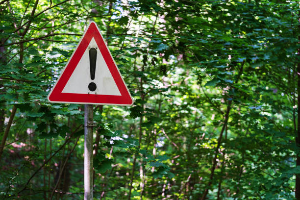 istock red and white warning sign with with exclamation mark against green trees 1329219800